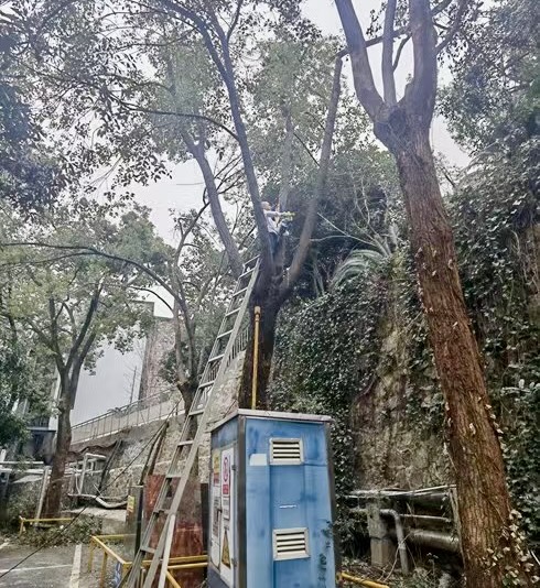 J9直营集团【中国区】官方网站